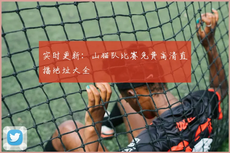 实时更新：山猫队比赛免费高清直播地址大全