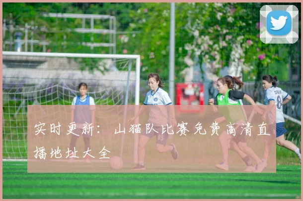 实时更新：山猫队比赛免费高清直播地址大全