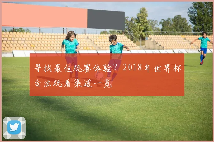 寻找最佳观赛体验？2018年世界杯合法观看渠道一览