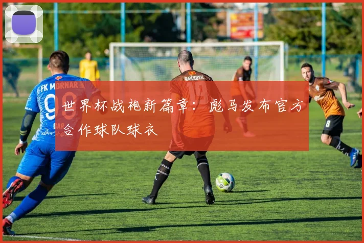 世界杯战袍新篇章：彪马发布官方合作球队球衣
