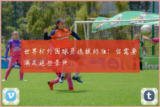 世界杯外围球员选拔标准：你需要满足这些条件
